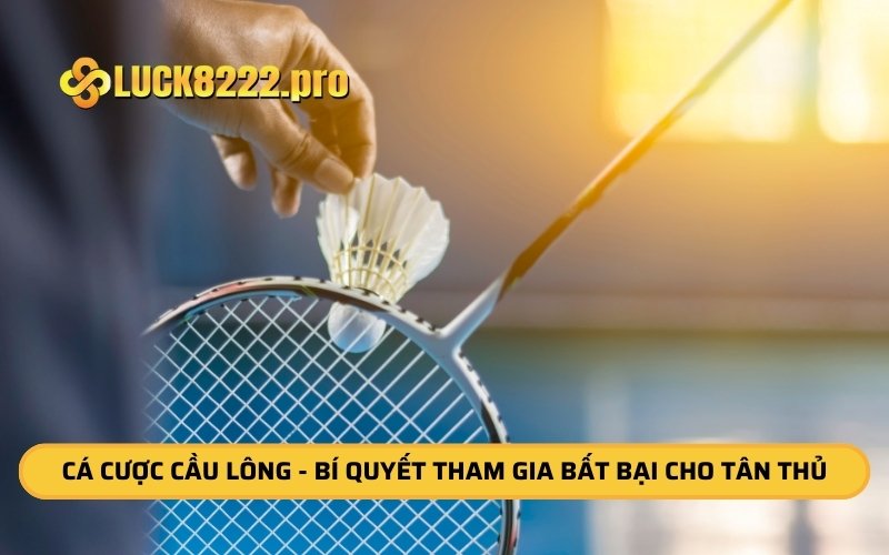 Cá Cược Cầu Lông - Bí Quyết Tham Gia Bất Bại Cho Tân Thủ