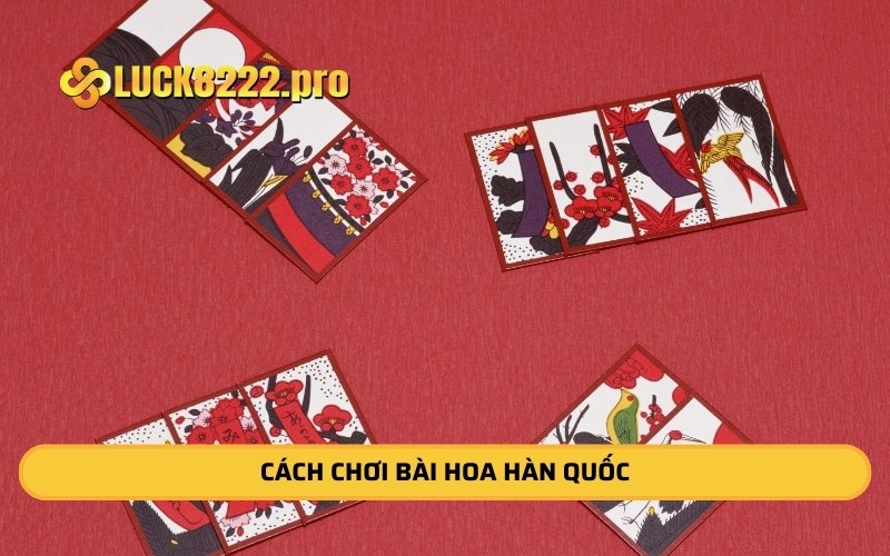 Cách Chơi Bài Hoa Hàn Quốc: Hướng Dẫn Chi Tiết Dễ Hiểu