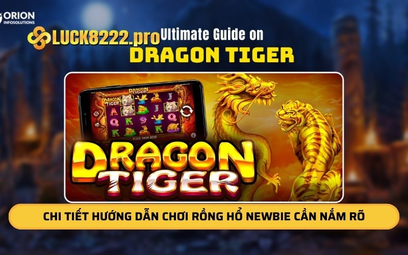 Chi tiết hướng dẫn chơi rồng hổ newbie cần nắm rõ