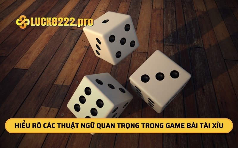 Hiểu rõ các thuật ngữ quan trọng trong game bài tài xỉu 