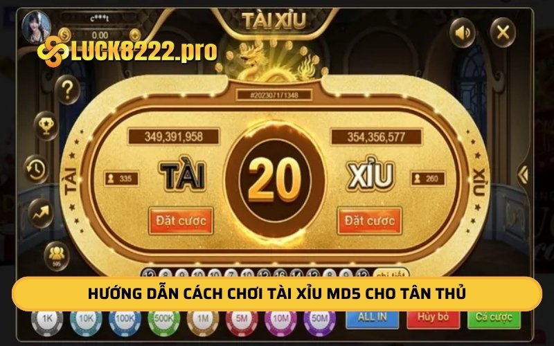 Hướng dẫn cách chơi tài xỉu md5 cho tân thủ