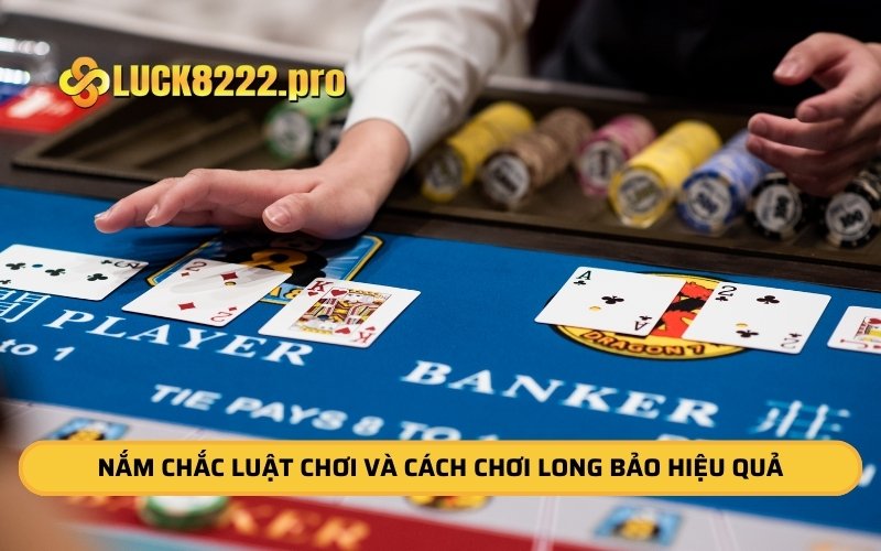 Nắm chắc luật chơi và cách chơi Long Bảo hiệu quả 