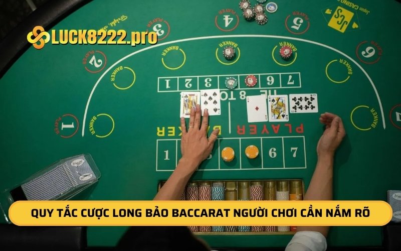 Quy tắc cược Long Bảo Baccarat người chơi cần nắm rõ 