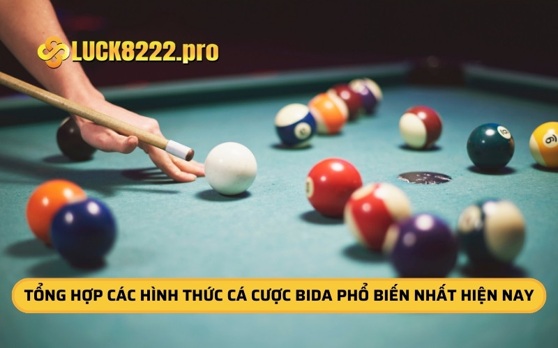 Tổng Hợp Các Hình Thức Cá Cược Bida Phổ Biến Nhất Hiện Nay